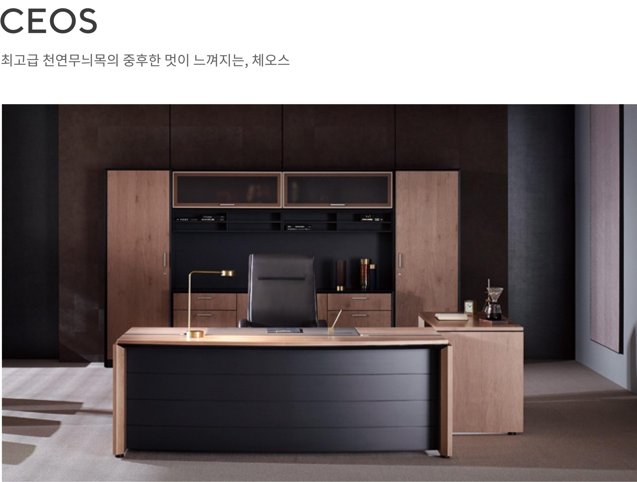 Bàn giám đốc Fursys CEOs
