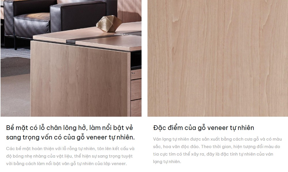 Bàn giám đốc Fursys CEOs